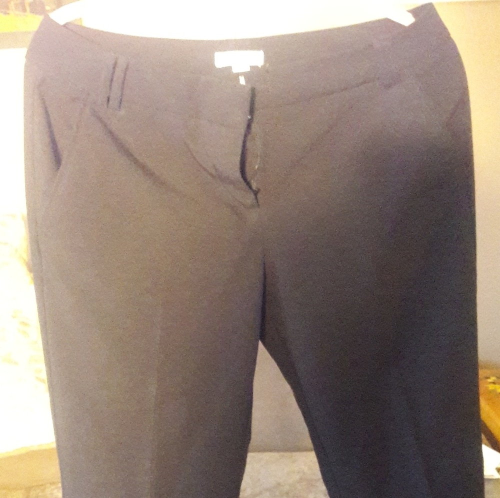 Dress pants